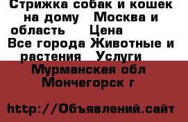 Стрижка собак и кошек на дому.  Москва и область.  › Цена ­ 1 200 - Все города Животные и растения » Услуги   . Мурманская обл.,Мончегорск г.